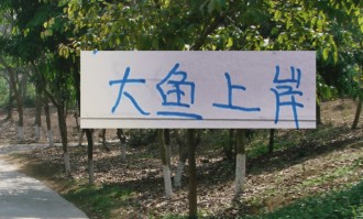 去年中超前5大鱼都上岸 北京国安是德甲大货 海港是本土标王